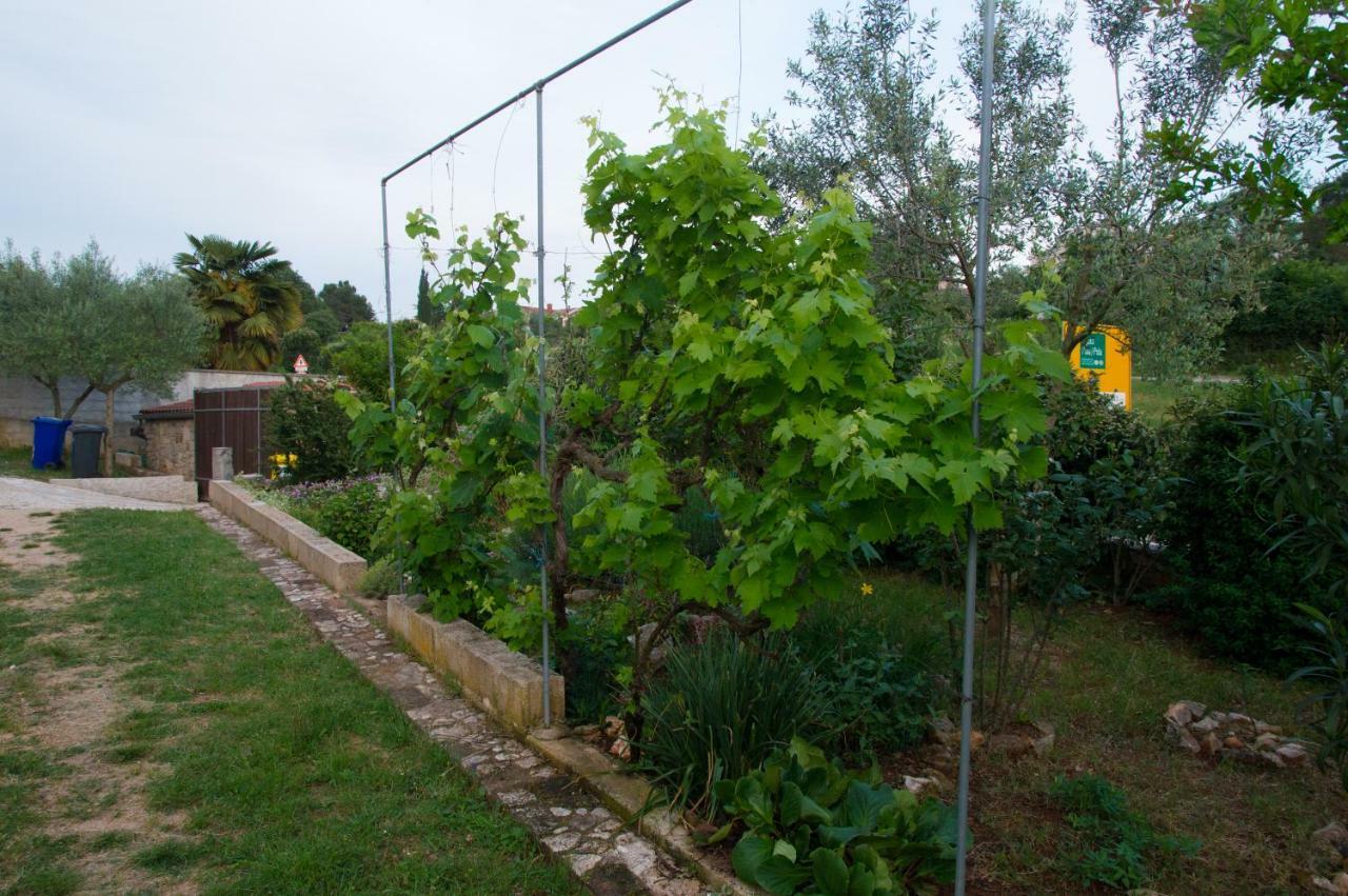 Apartman Garma Ρόβινι Εξωτερικό φωτογραφία